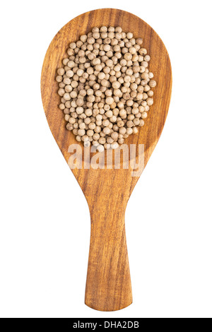 White pepper (Piper nigrum) peppercorns in the wooden spoon on white background Stock Photo