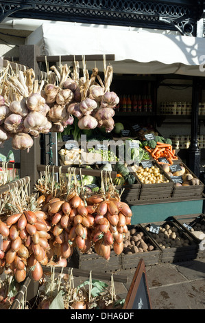 Bunches of fresh Garlic, Onions and  vegetables Stock Photo