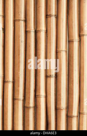 New shining bamboo wall vertical photo background texture Stock Photo
