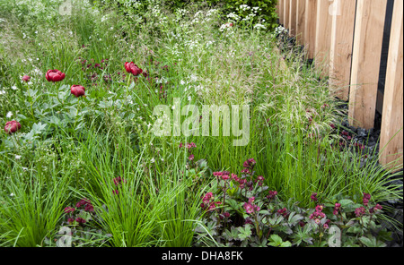 Chelsea Flower Show 2013, Daily Telegraph garden, Designer Christopher Bradley Hole. Gold medal. Stock Photo