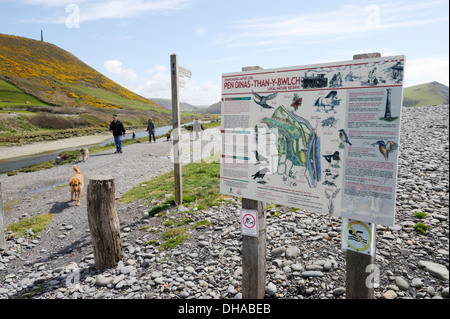 Pen Dinas and Tan y Bwlch nature reserve, information board with dog walkers and dogs, Aberystwyth, Wales, UK Stock Photo
