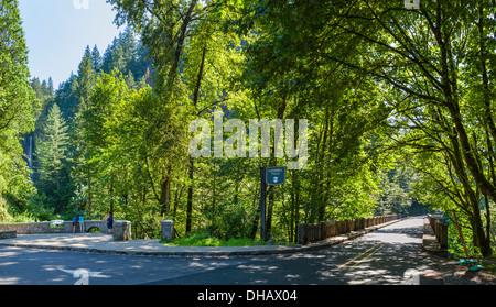 The Historic Columbia River Highway at Latourell Falls, Columbia River Gorge, Oregon, USA Stock Photo