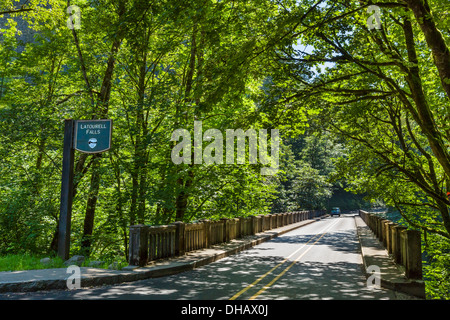 The Historic Columbia River Highway at Latourell Falls, Columbia River Gorge, Oregon, USA Stock Photo