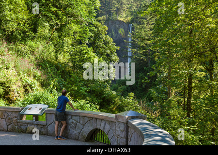 Latourell Falls, Columbia River Gorge, Oregon, USA Stock Photo