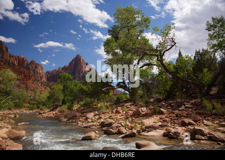 The Virgin River, Zion National Park, Utah. Stock Photo