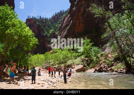 Hikers in The Narrows on the Virgin River, Zion National Park, Utah. Stock Photo