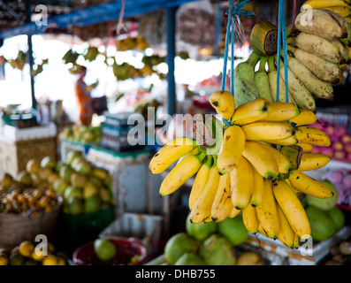 Bananas for sale in a market in Con Son Town on Con Son Island, Con Dao Islands, Vietnam. Stock Photo