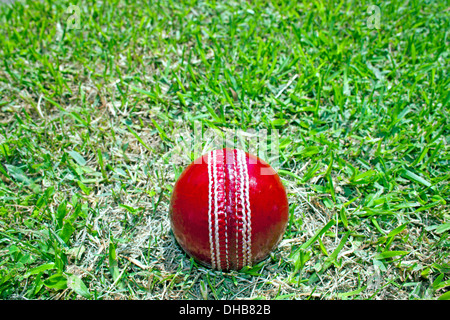 new bright red cricket ball on green grass field Stock Photo