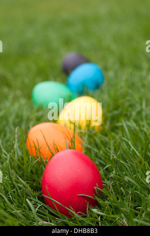 Easter egs in a row on the meadow Stock Photo