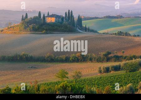 Famous Podere Belvedere in morning light, in the heart of the Tuscany, near San Quirico in de Val d'Orcia valley Stock Photo