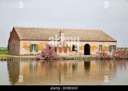 traditional house, casoni di valle, valleys of comacchio, ferrara province, po river delta, emilia romagna, italy, europe Stock Photo