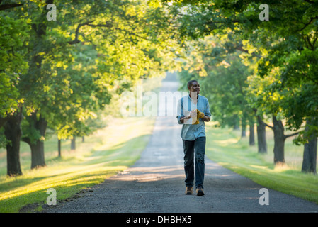 A man walking down a tree lined avenue in the countryside. Stock Photo