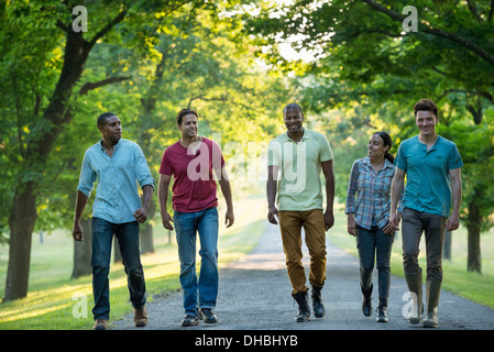 Five people walking down a tree lined avenue in the countryside. Stock Photo