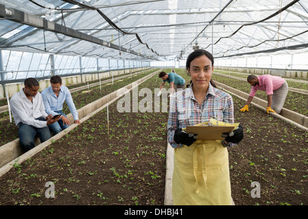 A commercial greenhouse in a plant nursery growing organic flowers. A woman using a digital tablet. Stock Photo