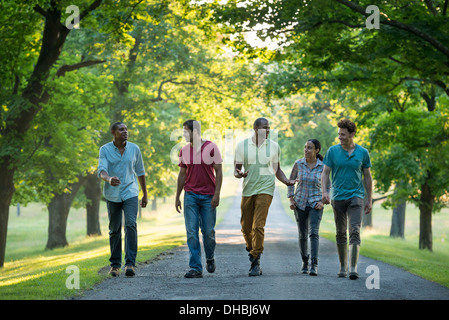 Five people walking down a tree lined avenue in the countryside. Stock Photo