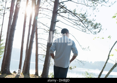 Lakeside.  A man standing in the shade of pine trees in summer. Stock Photo