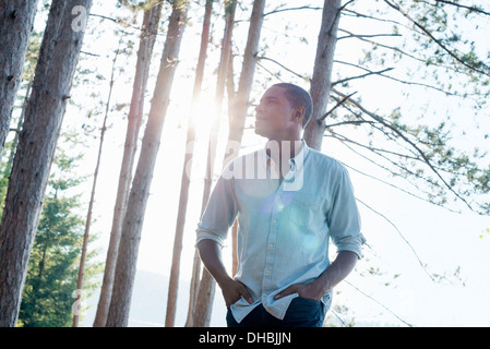 Lakeside.  A man standing in the shade of pine trees in summer. Stock Photo