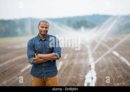 An organic vegetable farm, with water sprinklers irrigating the fields. A man in working clothes. Stock Photo