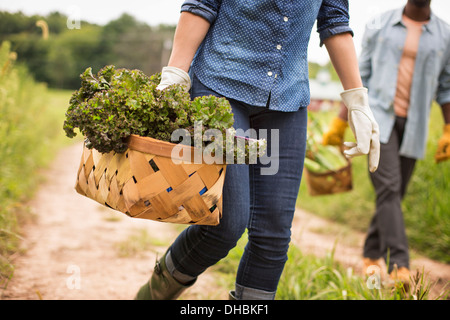 Working on an organic farm. A woman holding a handful of fresh green vegetables, produce freshly picked. Stock Photo