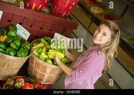 Working on an organic farm. A young blonde haired woman sorting different types of bell pepper for sale. Stock Photo