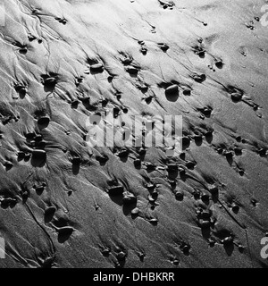 A view from above of the wet sand and rocks on the shoreline, on the coast of Olympic national park, in Washington county. Stock Photo