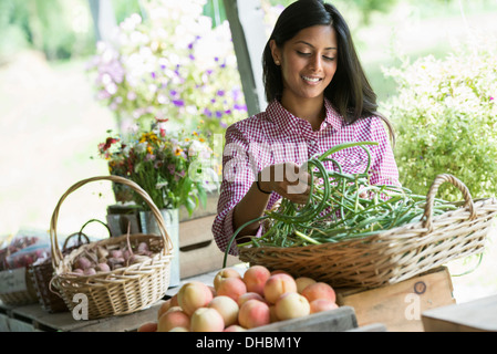 A farm stand with fresh organic vegetables and fruit.  A woman holding bunches of carrots. Stock Photo