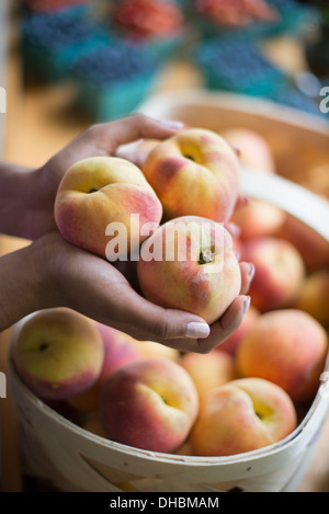 Organic fruit displayed on a farm stand. A person holding hands full of peaches. Stock Photo