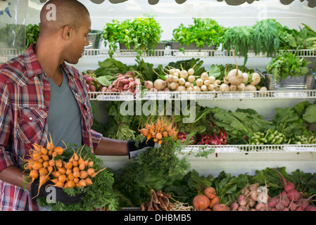 A farm stand with rows of freshly picked vegetables for sale. A man holding bunches of carrots. Stock Photo
