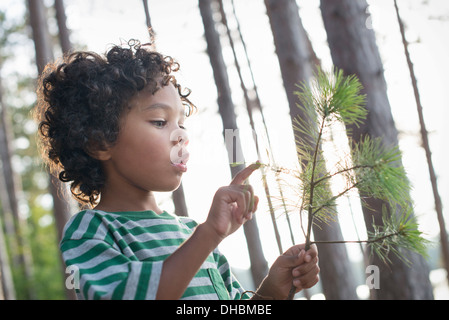 A child holding a tree branch looking at the pine needles. Stock Photo
