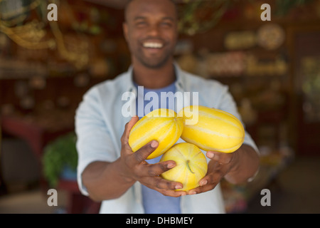 A farm growing and selling organic vegetables and fruit. A man harvesting striped squashes. Stock Photo