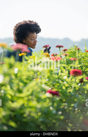 A woman standing among the flowers growing in the fields. Stock Photo