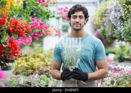 A young man working in a greenhouse full of flowering plants. Stock Photo