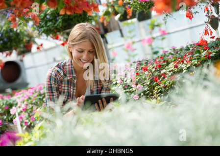 A woman in a plant nursery surrounded by flowering plants and green foliage. Stock Photo