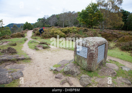 The Kitty's stone monument on Southern Bickerton Hill Cheshire England UK Stock Photo