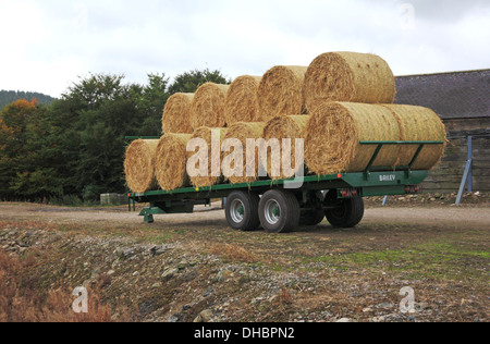 A trailer loaded with straw bales on a farm in Aberdeenshire, Scotland, United Kingdom. Stock Photo