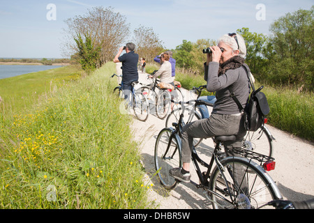 bicycle trip, oasis of boscoforte, valleys of comacchio, ferrara province, po river delta, emilia romagna, italy, europe Stock Photo