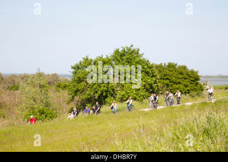 bicycle trip, oasis of boscoforte, valleys of comacchio, ferrara province, po river delta, emilia romagna, italy, europe Stock Photo