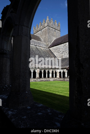 Cloisters at Holy Cross Abbey, restored Cistercian monastery that takes its name from a relic of the True Cross, County Tipperary, Ireland. Stock Photo