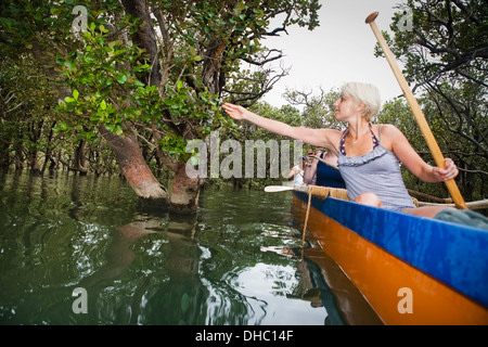 Paddling On A Waka With A Maori Guide In The Bay Of Islands; New Zealand Stock Photo