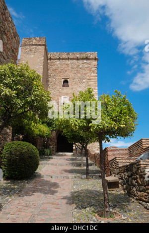 The Alcazaba, Málaga, Andalusia, Spain. Stock Photo