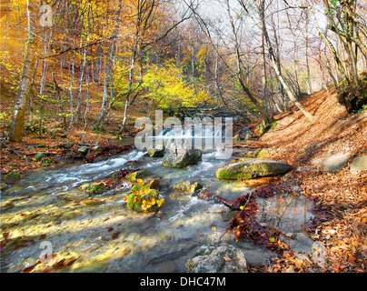 Beautiful fast river in mountain forest at sunrise Stock Photo