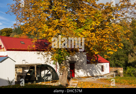 OLD RENOVATED WOOL MILL AND WATER WHEEL AT KNOCKANDO SPEYSIDE UNDER AN AUTUMNAL CHESTNUT TREE Stock Photo