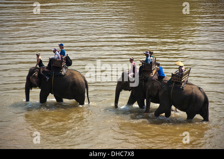 Horizontal close up portrait of a local Lao mahouts with tourists on elephants walking along a river in Laos. Stock Photo
