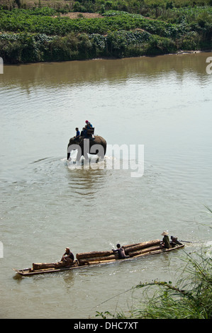 Vertical view of an elephant trekking along a river with a logging boat floating passed in Laos. Stock Photo