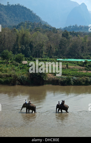 Vertical view of tourists on elephants walking along a river in the Laos countryside. Stock Photo