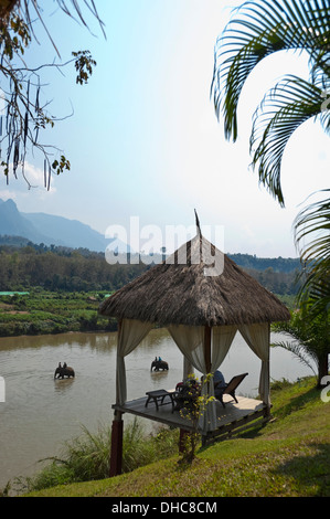 Vertical view of tourists relaxing with a beautiful view of elephants walking along a river in the Laos countryside. Stock Photo