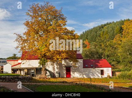 OLD RENOVATED WOOL MILL AT KNOCKANDO SPEYSIDE WITH WATER WHEEL AND AUTUMNAL TREES Stock Photo