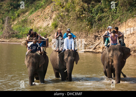 Horizontal close up of Western and Japanese tourists on an elephant trek in Laos. Stock Photo