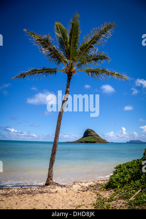 Mokoli'i Island (previously known as the outdated term 'Chinaman's Hat') off the Windward coast of Oahu Stock Photo
