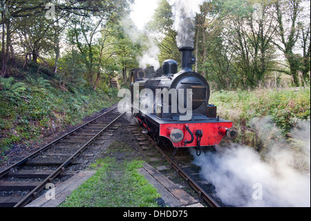 A former Coal Board tank engine steam locomotive on the Tanfield Railway, County Durham, the world's oldest railway - horse drawn before steam. Stock Photo